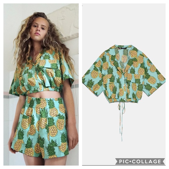 NWT Zara Pineapple Print Crop Top